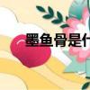 墨魚骨是什么東西（墨魚骨簡單介紹）