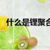 什么是鋰聚合物電池（鋰聚合物電池解釋）