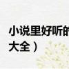 小說里好聽的名字大全（好聽的小說人物名字大全）