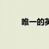 唯一的英文（唯一的英語是什么）