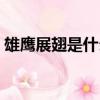 雄鷹展翅是什么意思（雄鷹展翅意思是什么）