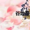 谷地是什么意思（谷地的含義）