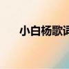 小白楊歌詞閻維文（小白楊歌曲簡介）