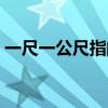 一尺一公尺指的是多少（一尺一公尺的解釋）