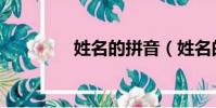 姓名的拼音(姓名的理解)