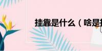 掛靠是什么(啥是掛靠呢)