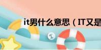 it男什么意思(IT又是什么意思)