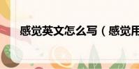 感覺英文怎么寫(感覺用英文怎么說)