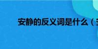 安靜的反義詞是什么(安靜的意思)