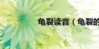 龜裂讀音(龜裂的意思)