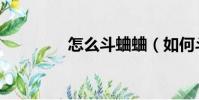 怎么斗蛐蛐(如何斗蛐蛐)