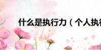 什么是執行力(個人執行力是什么)