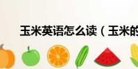 玉米英語怎么讀(玉米的英語是什么)