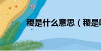 稷是什么意思(稷是哪種糧食)