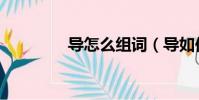 導怎么組詞(導如何組詞)