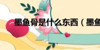 墨魚骨是什么東西(墨魚骨簡單介紹)