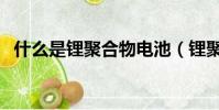 什么是鋰聚合物電池(鋰聚合物電池解釋)