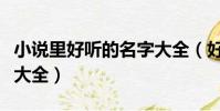 小說里好聽的名字大全(好聽的小說人物名字大全)