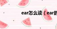 ear怎么讀(ear的讀法)
