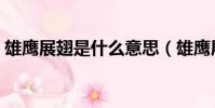雄鷹展翅是什么意思(雄鷹展翅意思是什么)