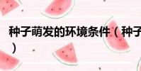 種子萌發的環境條件(種子萌發需要什么條件)