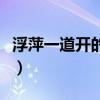 浮萍一道開的意思（浮萍一道開的原文及翻譯）