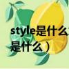style是什么意思中文（style的第三人稱單數是什么）