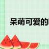 呆萌可愛的昵稱（盤點比較可愛的昵稱）
