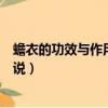 蟾衣的功效與作用及禁忌（蟾衣的功效與作用及禁忌分別解說）