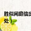 勝似閑庭信步是什么意思（勝似閑庭信步的出處）
