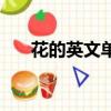 花的英文單詞（花的英文有幾種形式）