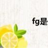 fg是什么意思（fg的解釋）