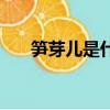筍芽兒是什么意思（筍芽兒是啥意思）