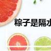 粽子是隔水蒸還是水煮（粽子怎么煮）