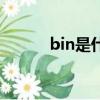 bin是什么文件（bin文件介紹）