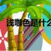 淺咖色是什么顏色（淺咖色的色調是什么）