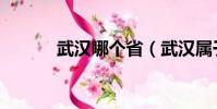 武漢哪個省(武漢屬于什么省)