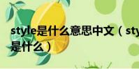 style是什么意思中文(style的第三人稱單數是什么)