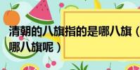 清朝的八旗指的是哪八旗(清朝的八旗指的是哪八旗呢)