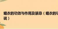 蟾衣的功效與作用及禁忌(蟾衣的功效與作用及禁忌分別解說)