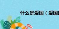 什么是愛國(愛國的意義)