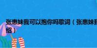 張惠妹我可以抱你嗎歌詞(張惠妹我可以抱你嗎歌詞簡單介紹)