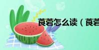 莨菪怎么讀(莨菪簡介)