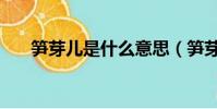 筍芽兒是什么意思(筍芽兒是啥意思)