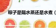 粽子是隔水蒸還是水煮(粽子怎么煮)