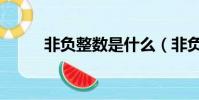 非負整數是什么(非負整數簡述)
