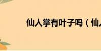 仙人掌有葉子嗎(仙人掌簡介)