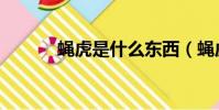蠅虎是什么東西(蠅虎是什么)