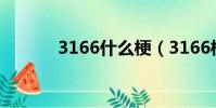 3166什么梗(3166梗的解釋)