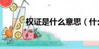 權證是什么意思(什么是權證)